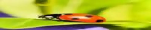 Ml9tDSj2ZI