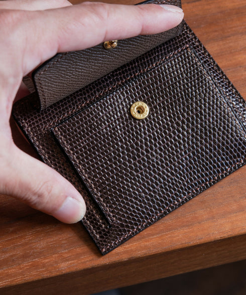 Lizard:Dark Brown