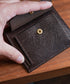 Lizard:Dark Brown